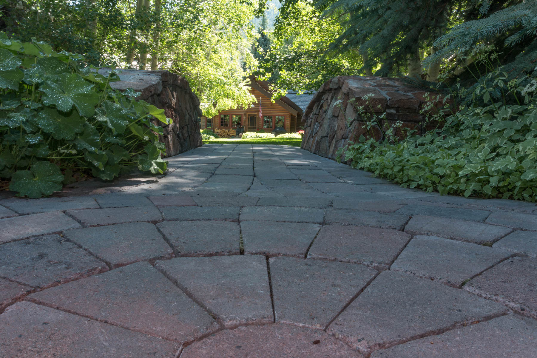 WOW_150701_Figge_015